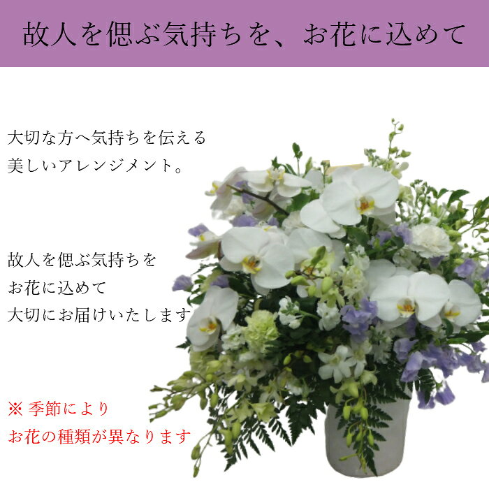 最大93 オフ お供え 花 お悔やみ 送料無料 フラワー ギフト 喪中見舞い 胡蝶蘭 蘭 法要 供養 命日 法事 四十九日 ペット 枕花 仏事 弔事 供花 仏花 葬儀 立て札 立札 供え お供え生花アレンジ 葬式の花 葬儀の花 お供え花 故人 お供え物 一周忌