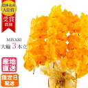 胡蝶蘭 大輪 オレンジ 3本立 27輪以上 MIYABI / 最高級 大輪胡蝶蘭 祝い 就任祝い 誕生日 お祝い 花 胡蝶蘭 ギフト プレゼント 御中元 中元 ...