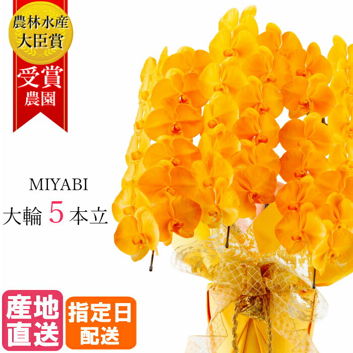 楽天Tokyo small gift胡蝶蘭 大輪 オレンジ 5本立 45輪以上 MIYABI / 最高級 大輪胡蝶蘭 祝い 就任祝い 母の日 誕生日 お祝い 花 胡蝶蘭 ギフト プレゼント 御中元 中元 開店祝い オープン 還暦 開院 開業 就任 栄転 昇進 退職 個展 周年 祝い 傘寿 米寿