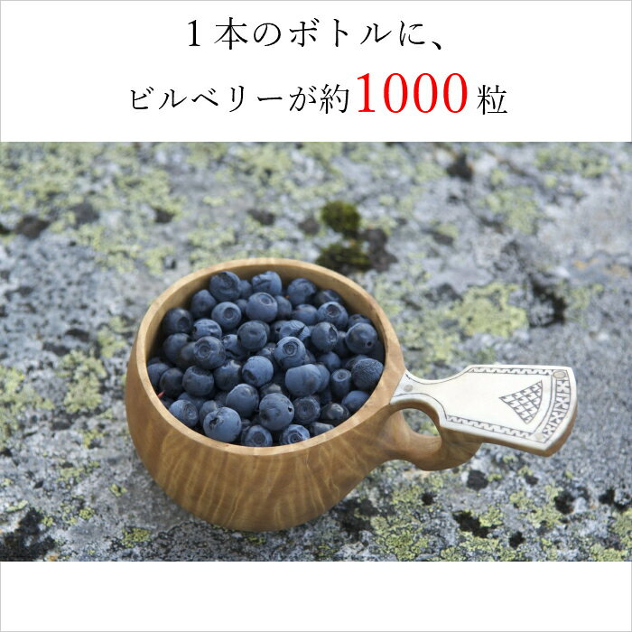 安い購入 リトニ Ritni ビルベリー果汁100 ジュース 260ml 8本入り ギフト プレゼント 誕生日 男性 女性 ブルーベリー 野生種 Scalatex Com 安い購入 リトニ Ritni ビルベリー果汁100 ジュース 260ml 8本入り ギフト プレゼント 誕生日 男性 女性 ブルーベリー 野生種 Scalatex Com