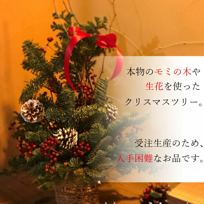 国産 クリスマスツリー 生花 モミの木 装飾 部屋 インテリア 花 お花 自宅 プレゼント ギフト 女性 男性 クリスマス 飾り 新築祝い 引越し祝い 結婚 出産 おしゃれ かわいい 雑貨 ディスプレイ Han Www Universaltextil Com Pe 国産 クリスマスツリー 生花 モミの木 装飾 部屋 インテリア 花 お花 自宅 プレゼント ギフト 女性 男性 クリスマス 飾り 新築祝い 引越し祝い 結婚 出産 おしゃれ かわいい 雑貨 ディスプレイ Han Www Universaltextil Com Pe