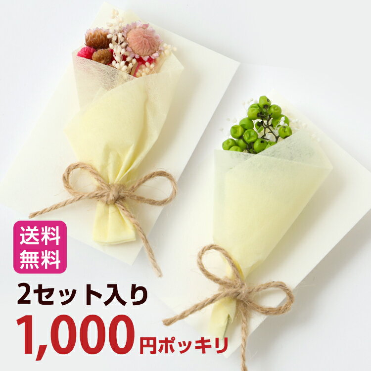 1000円ポッキリ ブーケ 送料無料 お花 1000円ぽっきり 花束 【Mini Bouquet Message Card Set ミニブーケ メッセージカード &封筒2枚セット】SDGs ロスフラワー ドライフラワー プリザーブドフラワー ブーケ型 メッセージカード 花 カード ギフト お誕生日 プレゼント