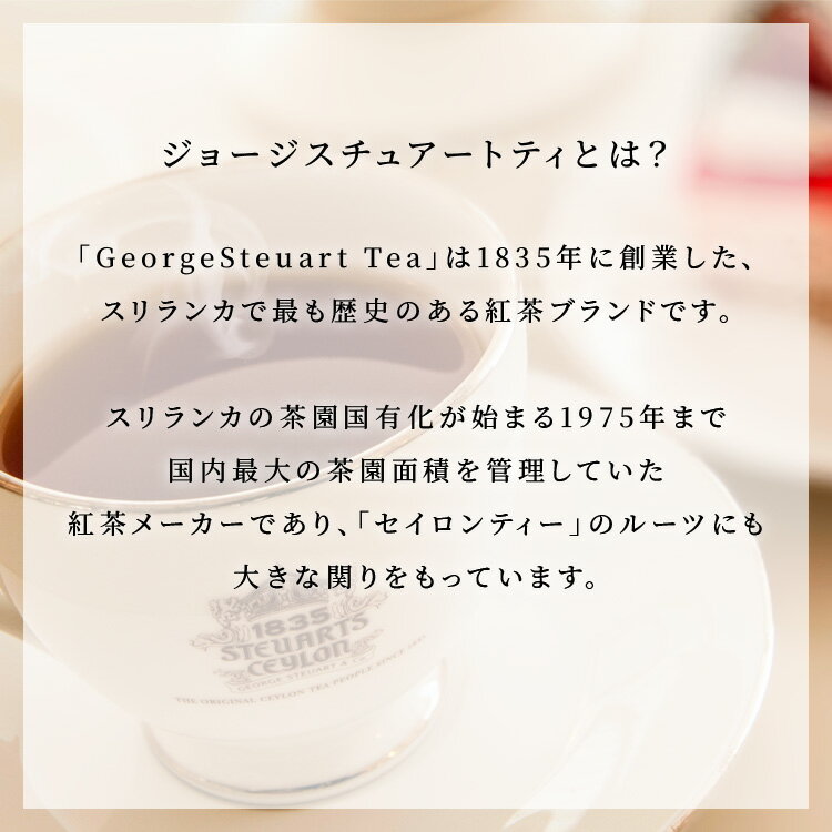 George Steuart Tea エクスクルーシヴコレクション 紅茶20袋入りBOXと選べる胡蝶蘭のセット ギフト ミディ胡蝶蘭 ミニ胡蝶蘭 スリランカ茶葉100% 5ストレートティーバッグ