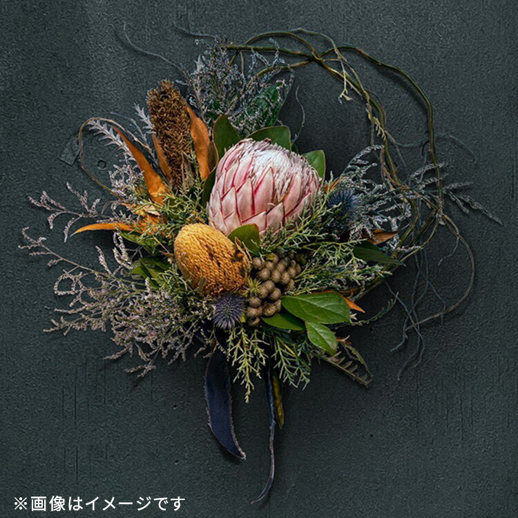 ��SS������ʡۡڥͥ��ƥ��֥ե� ����󥸥��ȡۥե�����󥸥��� �꡼�� ���ˤ� ��Ź�ˤ� ���� �ե� �ץ쥼��� ���ե� ��� �������ȥ�ꥢ ���ꥹ�ޥ� ������ �꡼�� �磻��ɥե� ������� �ɥ饤�ե�