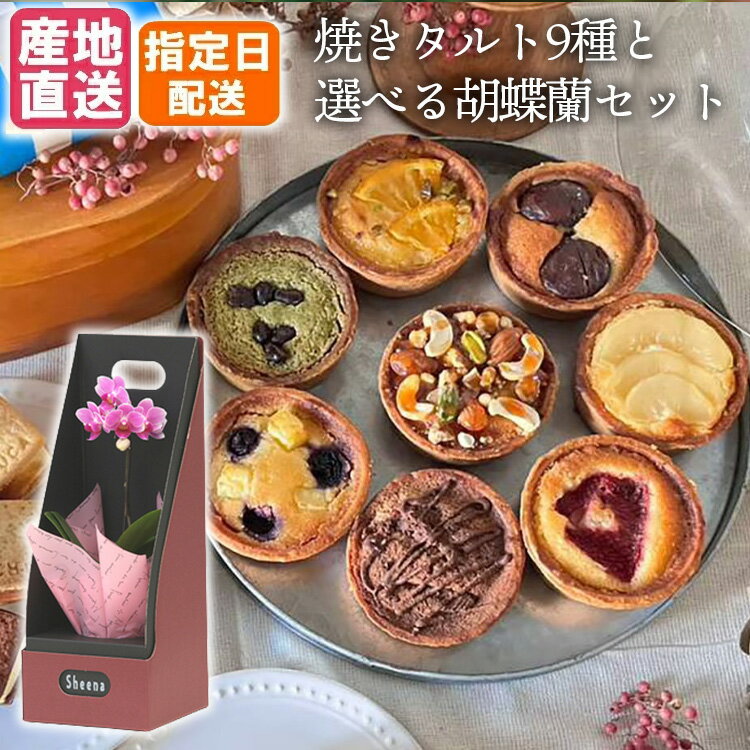 楽天Tokyo small gift人気の焼きタルト9種と選べる胡蝶蘭セット フレッシュクリームチーズ チーズケーキ クリスマスケーキ クリスマスギフト 生花 胡蝶蘭 装飾 部屋 インテリア 花 お花 自宅 プレゼント ギフト 女性 男性 飾り 新築祝い 引越し祝い 結婚 出産