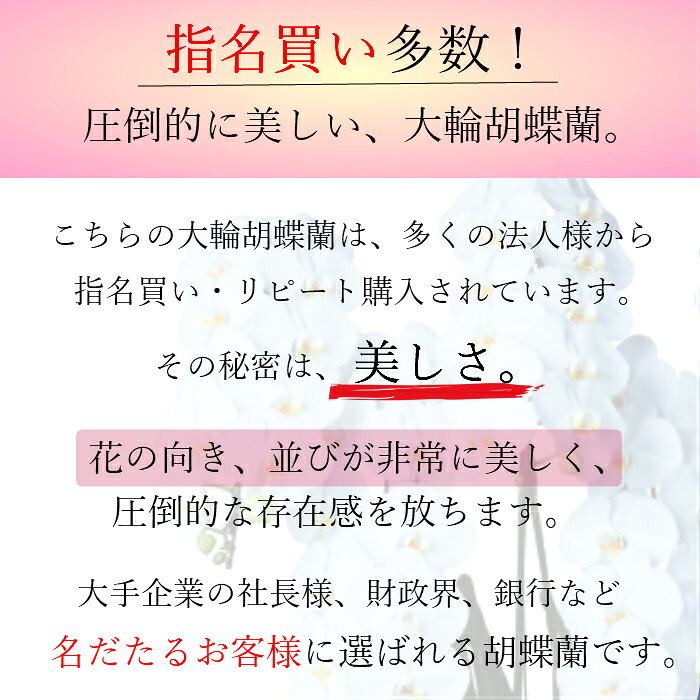 ��SS������ʡ۸�ĳ�� ���� �� 5��Ω 45~50�ذʾ� 2L ���ظ�ĳ�� / ��ĳ�� �ˤ� ��Ǥ�ˤ� �࿦ ���ˤ� ���ե� ��Ź�ˤ� �࿦�ˤ� ������ ���� �� ���� ������ �ץ쥼��� ���Ƚˤ� ���۽ˤ� ���۽ˤ� ���渵 �������