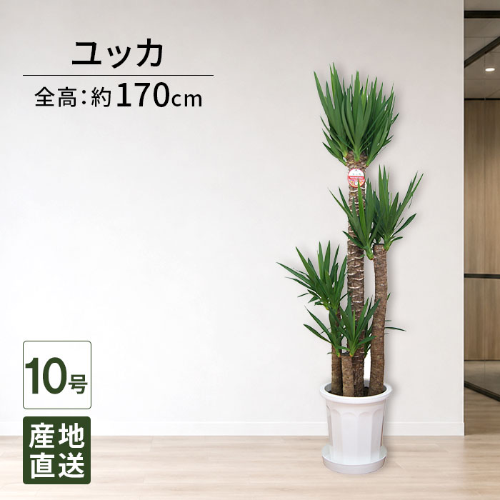 商品画像3