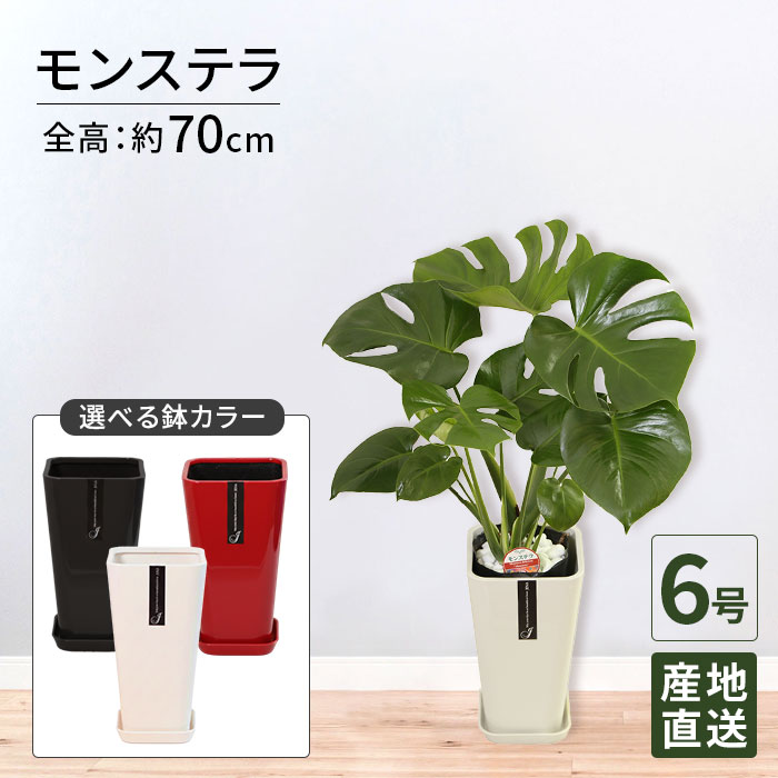 商品画像3