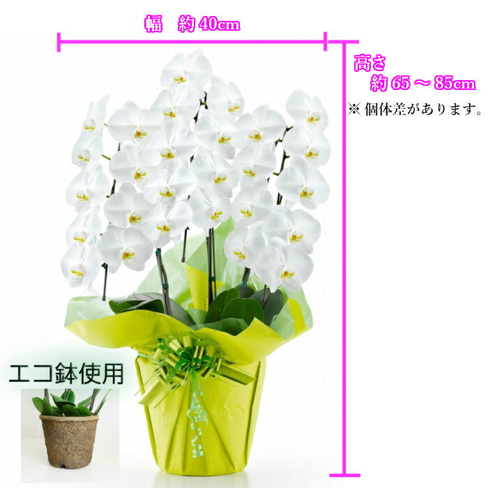 �� ��ĳ�� ���� ȭ���� �� �� 3��Ω 27�ذʾ� ����ȭ/���ظ�ĳ�� �� �࿦ ���ˤ� ��Ź�ˤ� �࿦�ˤ� ������ ���� ������ �ץ쥼��� ���� ���ե� ��� ���۽ˤ� ���۽ˤ� ��ǯ