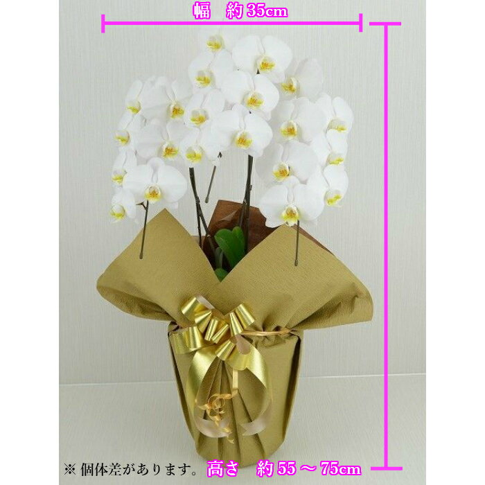 �ڸ�ʩ���֡ۤ����� �� ���ĳ�� 3��Ω 18�ذʾ� ��/������� ʩ�� ���� ���� ���� �� ���̼� ˡ�� ʩ�� ʩ�� ̿�� ˡ�� ������ ���� ȭ �������� ����� ����� ����� ������ ���� ����