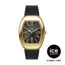 ICE-WATCH / アイスウォッチ ICE boliday - ドーム - メタル - ブラックゴールド - スモール - 3H+D