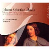 yAՁz Bach, Johann Sebastian obn / (Violin)gamba Sonata.1, 2, 3, Violin Sonatas: Suk(Vn) Ruzicova(Cemb) yCDz