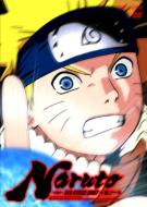 NARUTO-ナルト-5th STAGE 2007 巻ノ一 【DVD】