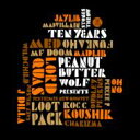 DJ Mitsu The Beats ディージェイミツザビーツ / Stone Throw Ten Years 【CD】