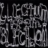 【輸入盤】 Blectum From Blechdom / Haus De Snaus 【CD】