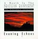 【輸入盤】 Brazilian Rainforest / Evening Echoes 【CD】