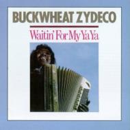 【輸入盤】 Buckwheat Zydeco / Waitin' For My Ya Ya 【CD】