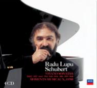 【輸入盤】 Schubert シューベルト / ピアノ・ソナタ第1・5・13・14・16・18・19・20・21番、楽興の時、他　ルプー（4CD） 【CD】