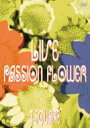 T-SQUARE ティースクエア / Live: Passion Flower 【DVD】