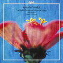 【輸入盤】 Vivaldi ヴィヴァルディ / アンナ・マリアのための6つのヴァイオリン協奏曲 フェデリコ・グリエルモ、ラルテ・デラルコ 【SACD】