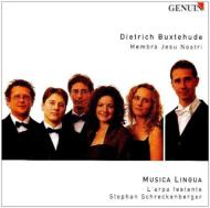 【輸入盤】 Buxtehude ブクステフーデ / Membra Jesu Nostri: Schreckenberger / Musica Lingua L'arpa Festante 【CD】