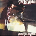 Stevie Ray Vaughan スティービーレイボ