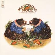 Matching Mole / Matching Mole: 胂O yCDz