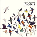 中孝介 アタリコウスケ / Notus 【CD】
