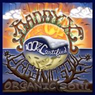 Daddy X   Organic Soul  Copy Control CD   CD 