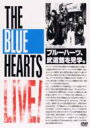 THE BLUE HEARTS ブルーハーツ / ザ・ブルーハーツライブ 1987.7.4 日比谷野音 1988.2.12 日本武道館 