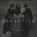 Carnation カーネーション / ANGEL -The 20th Anniversary Single- 【CD】
