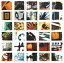 【送料無料】 篠原美也子 / everything is passing 【CD】 3,036円