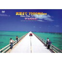 TUBE チューブ / 真夏まで7500 Miles Video Clips'93 in MIAMI 【DVD】