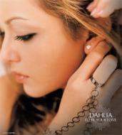 Dahlia ダリア / I'LL BE YOUR LOVE 【CD Maxi】