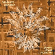 Orange Heads Productive / EXPERIENCED ORCHESTRA 【CD】