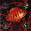 ͢ס Pixies ԥ / Bossanova CD