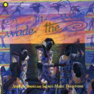 【輸入盤】 Wade In The Water 【CD】