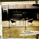 TRIBAL CHAIR / Accept the world 【CD】