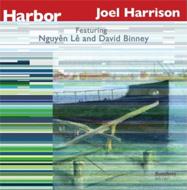 【輸入盤】 Joel Harrison / Harbor 【CD】