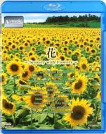 V-music ԁ`Scenery with Flowers` yBLU-RAY DISCz