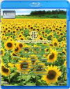 V-music 花〜Scenery with Flowers〜 【BLU-RAY DISC】