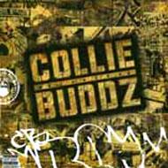 【輸入盤】 Collie Buddz / Collie Buddz 【CD】