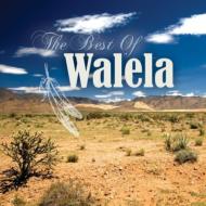 【輸入盤】 Walela / Best Of Walela 【CD】