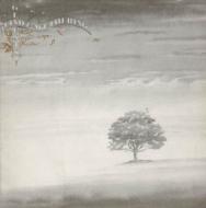 【輸入盤】 Genesis ジェネシス / Wind And Wuthering 【CD】