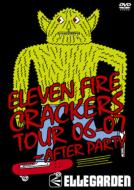 ELLEGARDEN エルレガーデン / ELEVEN FIRE CRACKERS TOUR 06-07 ～AFTER PARTY 【DVD】