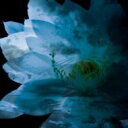 LUNA SEA MEMORIAL COVER ALBUM -Re: birth- 【CD】