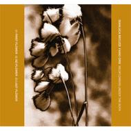 【輸入盤】 Gianluca Becuzzi / Fabio Orsi / Wildflowers Under The Sofa 【CD】