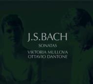Bach, Johann Sebastian バッハ / ヴァイオリン・ソナタ全集　ムローヴァ、ダントーネ、他（2CD）日本語解説付 【CD】