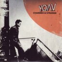 【輸入盤】 Yoav / Charmed & Strange 【CD】