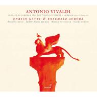 【輸入盤】 Vivaldi ヴィヴァルディ / 12のトリオ・ソナタ作品1　E.ガッティ＆アンサンブル・アウローラ（2CD） 【CD】